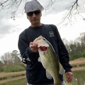 Meet your Posher, Curtis